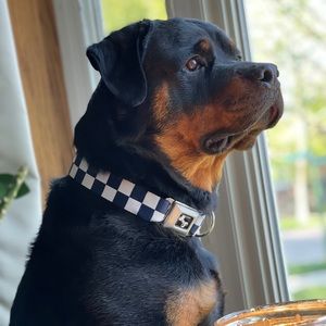 Meet your Posher, Sharon